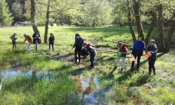 Classe Decouverte   060